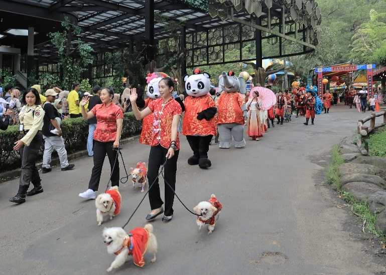 Meriah! Semarak Parade ‘Year Of Dragon’ Imlek 2024 di Taman Safari Bogor