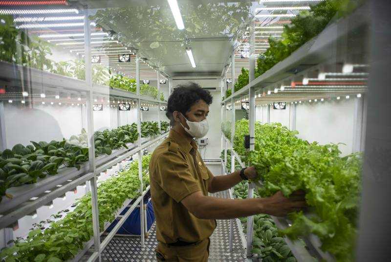 Metode "Container Farming"