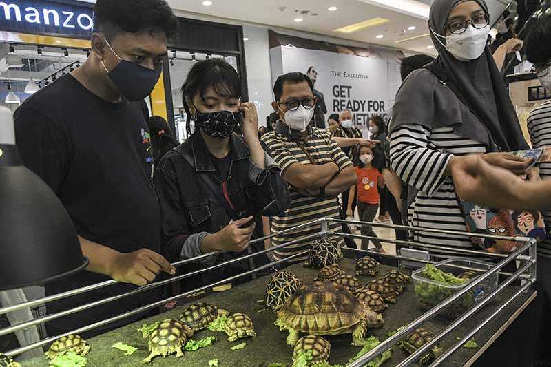 Pameran Hewan Piaraan