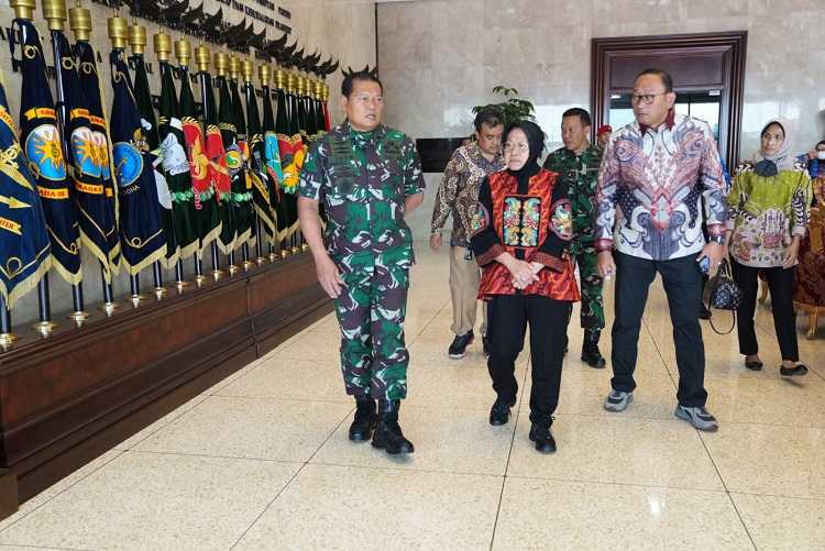 Panglima TNI Terima Audiensi Mensos