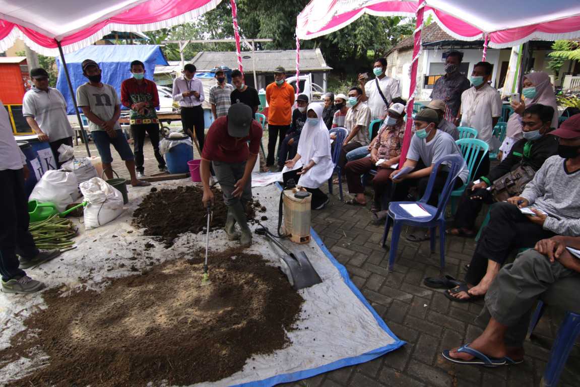 Pelatihan Pertanian