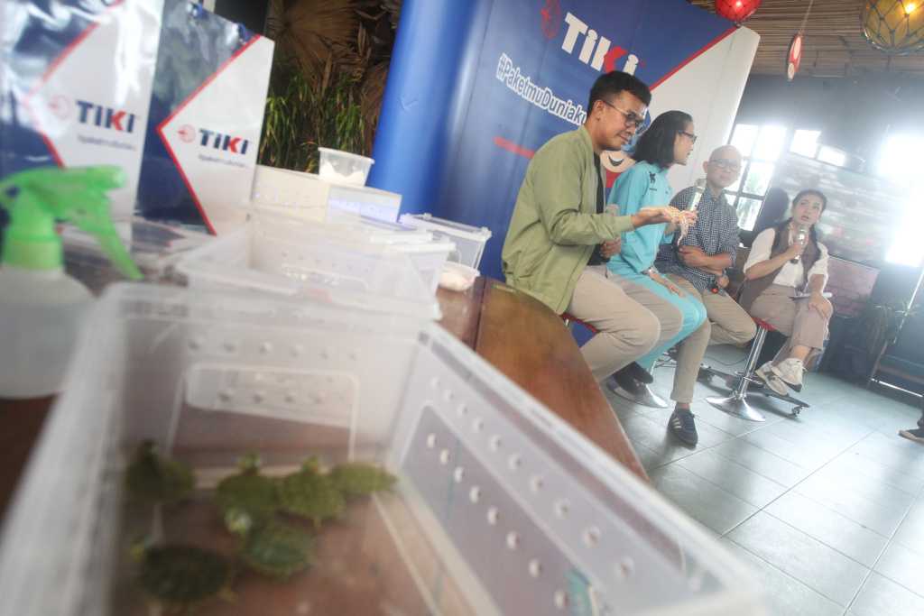 Foto 2