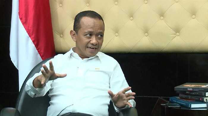 Pemerintah Sinergikan OSS dengan Perizinan di Daerah