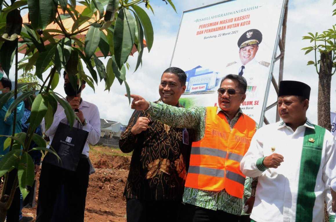 Penanaman Pohon