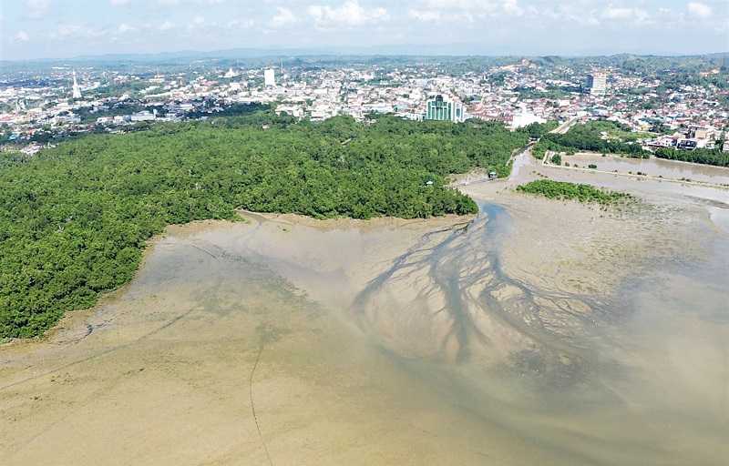 PENDANGKALAN TELUK KENDARI