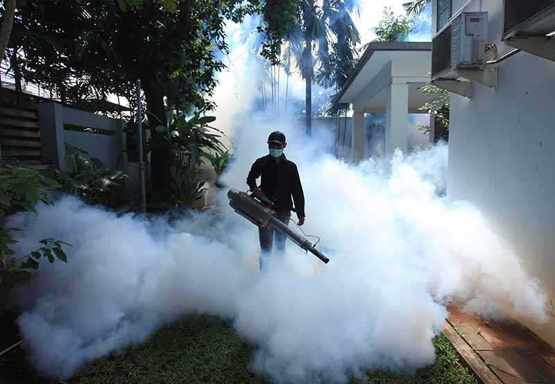 Pengasapan untuk Cegah DBD