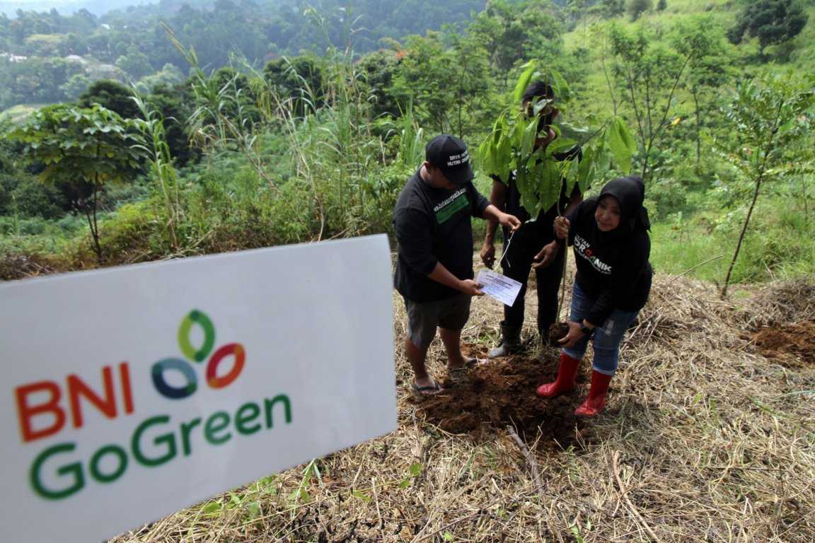 Pengelolaan Hutan