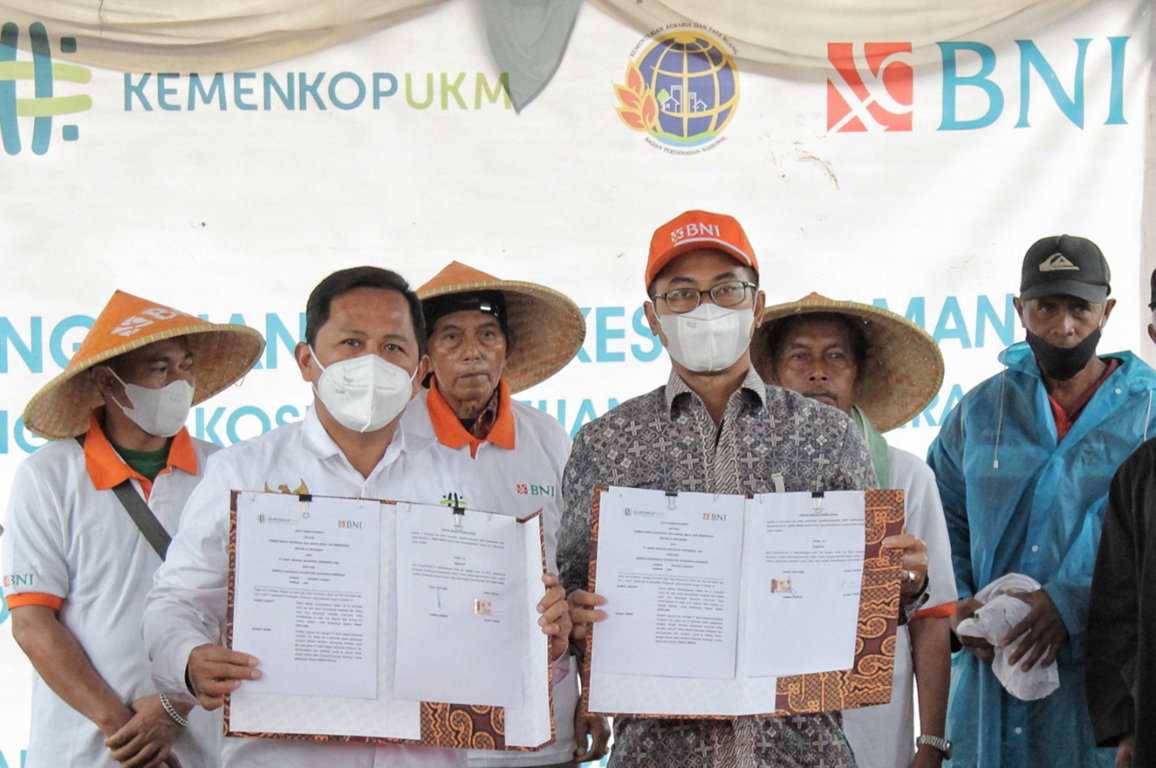 Pengembanhan Koperasi