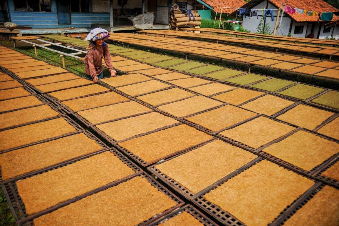 Penurunan Harga