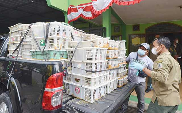 Penyelundupan Burung