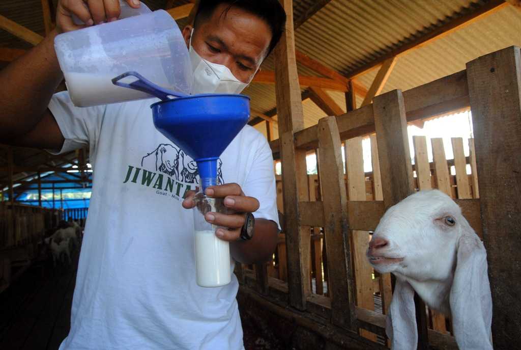 Permintaan Meningkat
