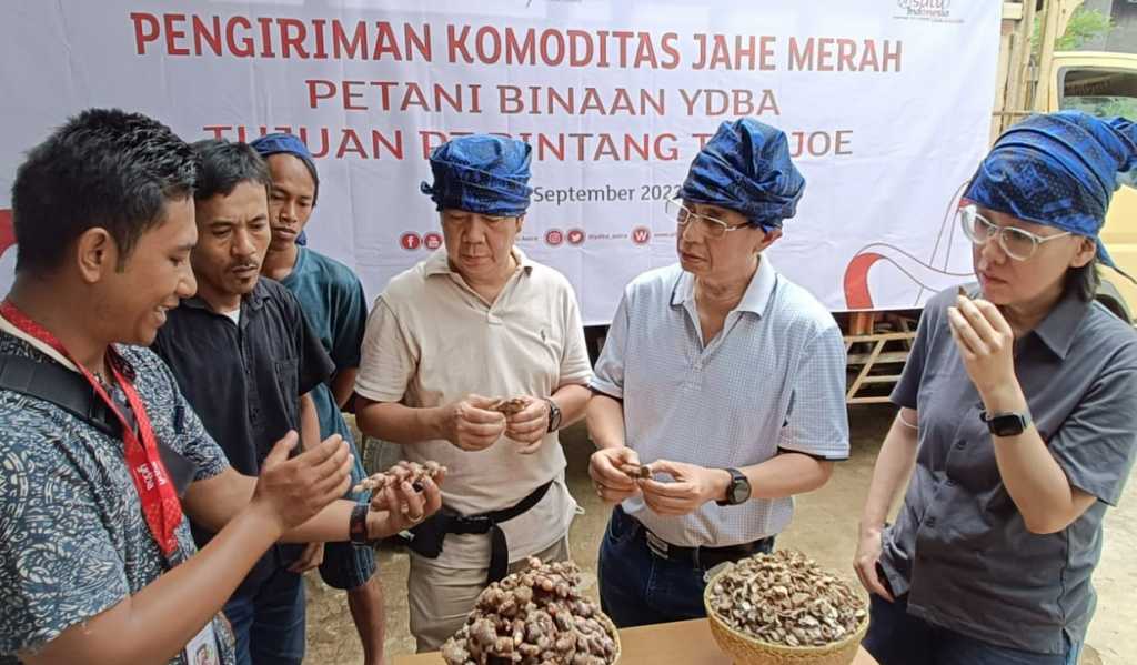 Petani Jahe Merah Lebak Banten Binaan YDBA hasilkan panen 32,5 ton