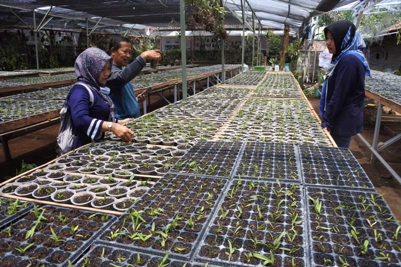 Penjualan Meningkat