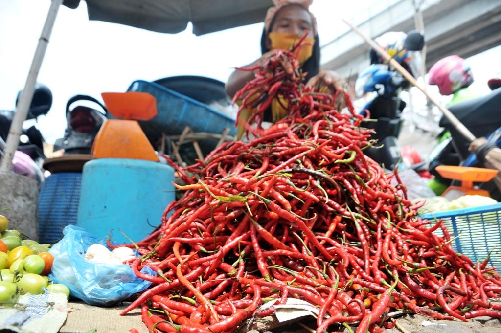 Cabai Merah Murah