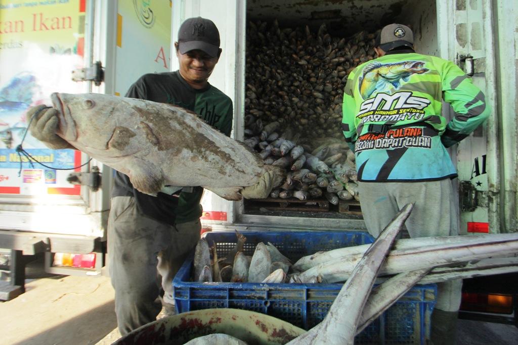 PNBP Kelautan Meningkat