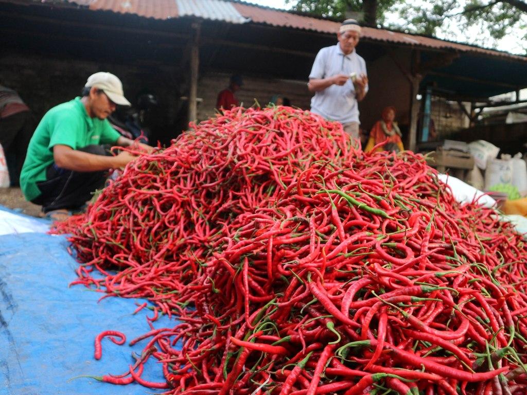 Harga Cabai Turun