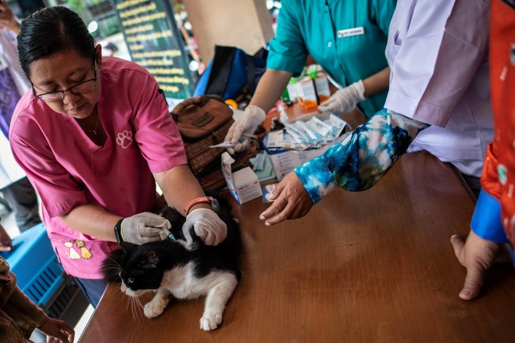 Vaksin Rabies
