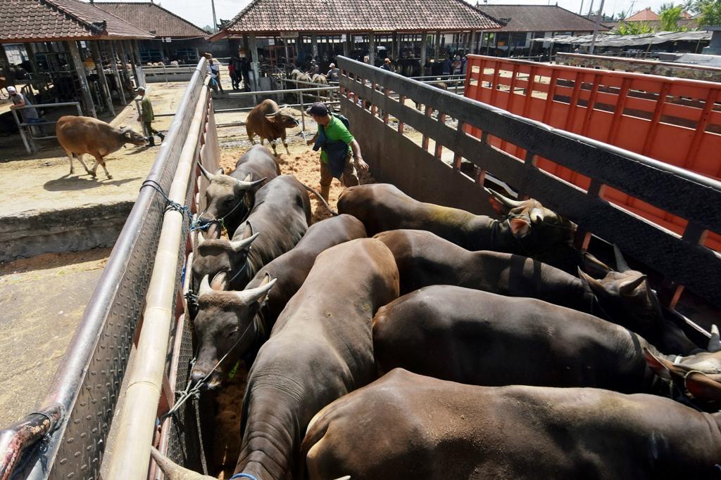 Permintaan Berangsur Pulih