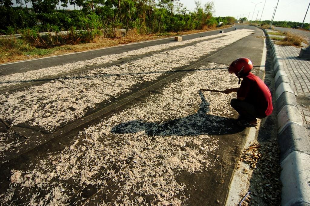 Harga Rebon Naik