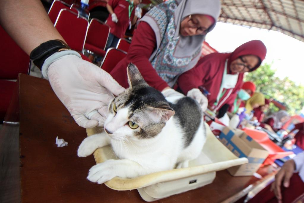 Vaksin Rabies