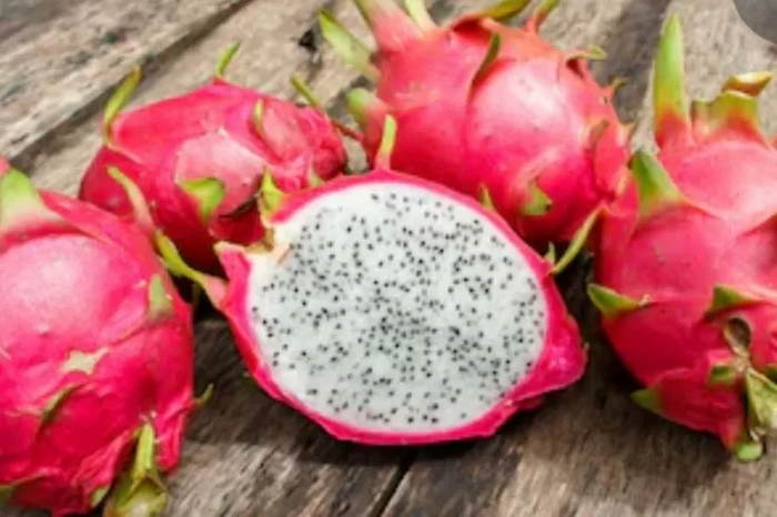 Khasiat Buah Naga untuk Kulit dan Rambut    