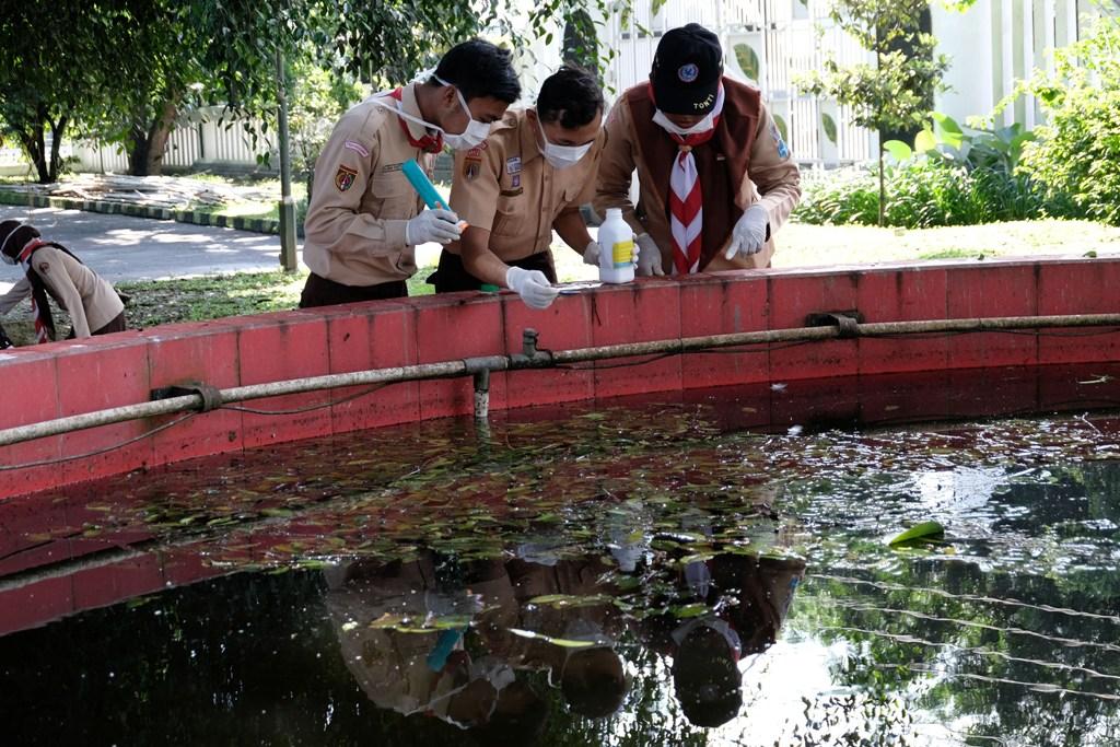 Pemberantasan Jentik