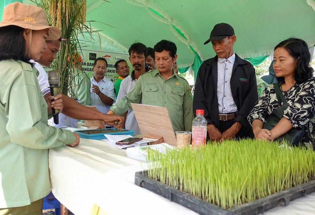 Kembangkan UMKM