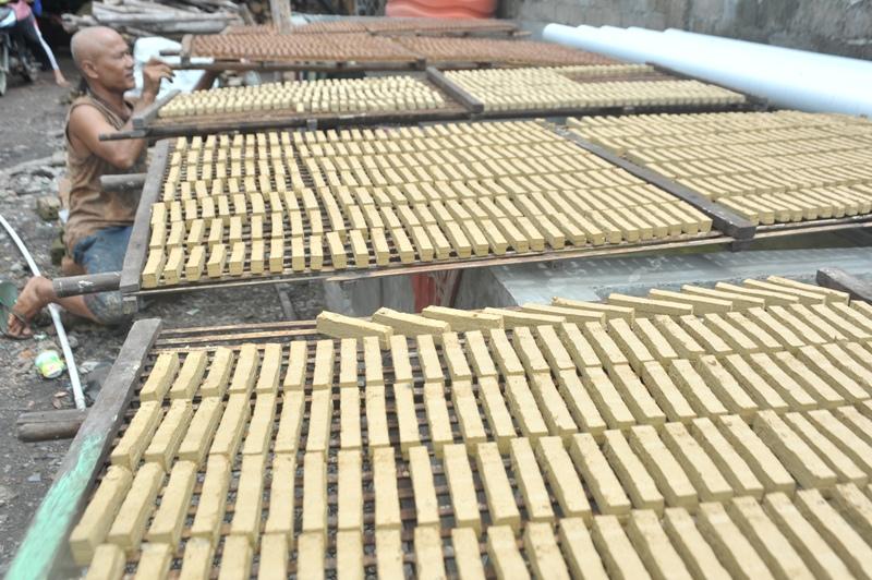 Produksi Gambir