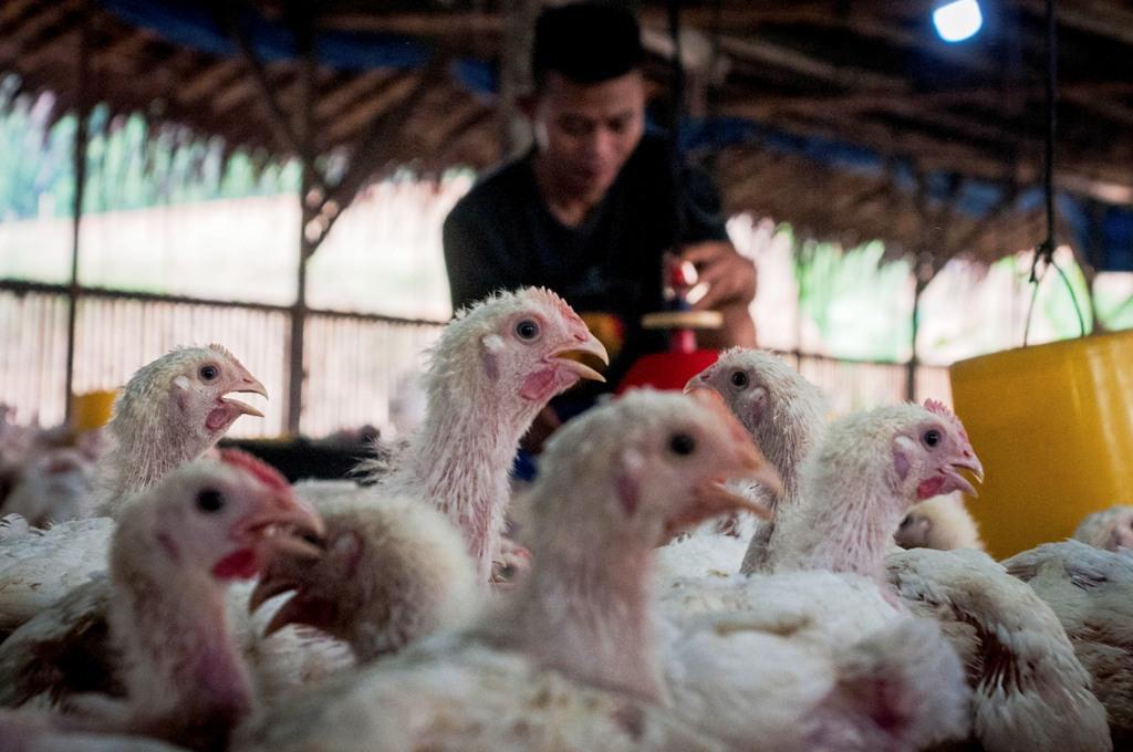 Optimalkan Pengawasan