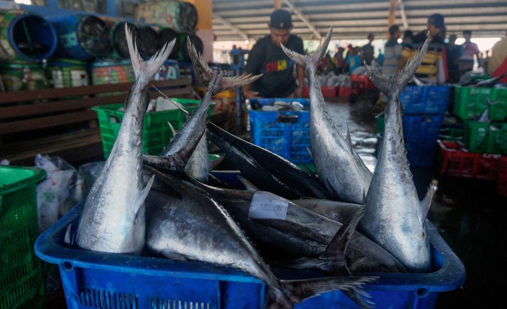 Produksi Perikanan Tumbuh