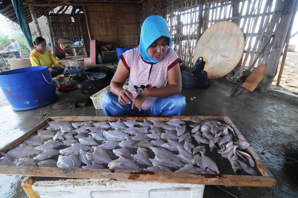 Bahan Pakan Berlimpah