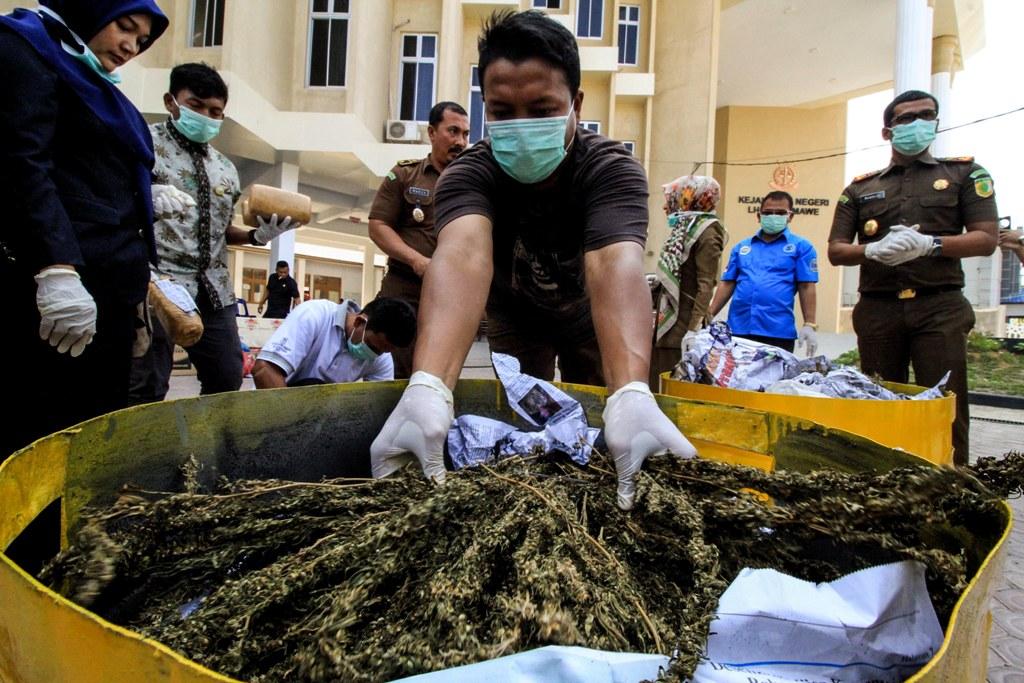 Musnahkan Ganja