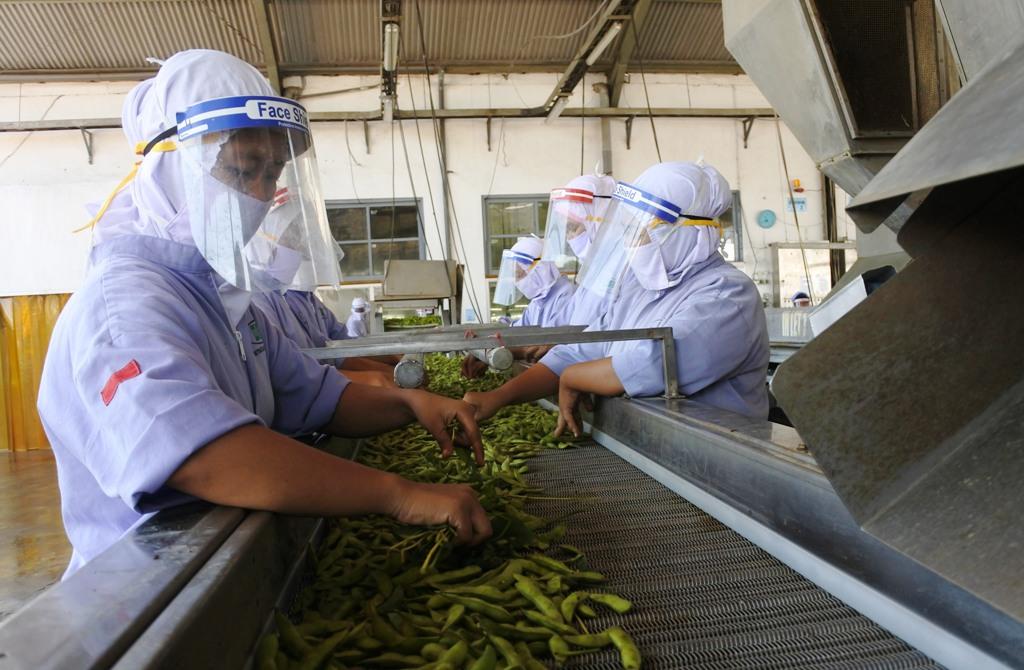 Produksi Sayuran Beku