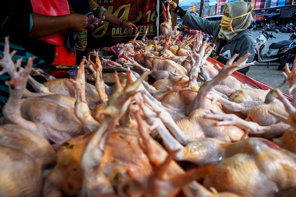 Harga Ayam Naik
