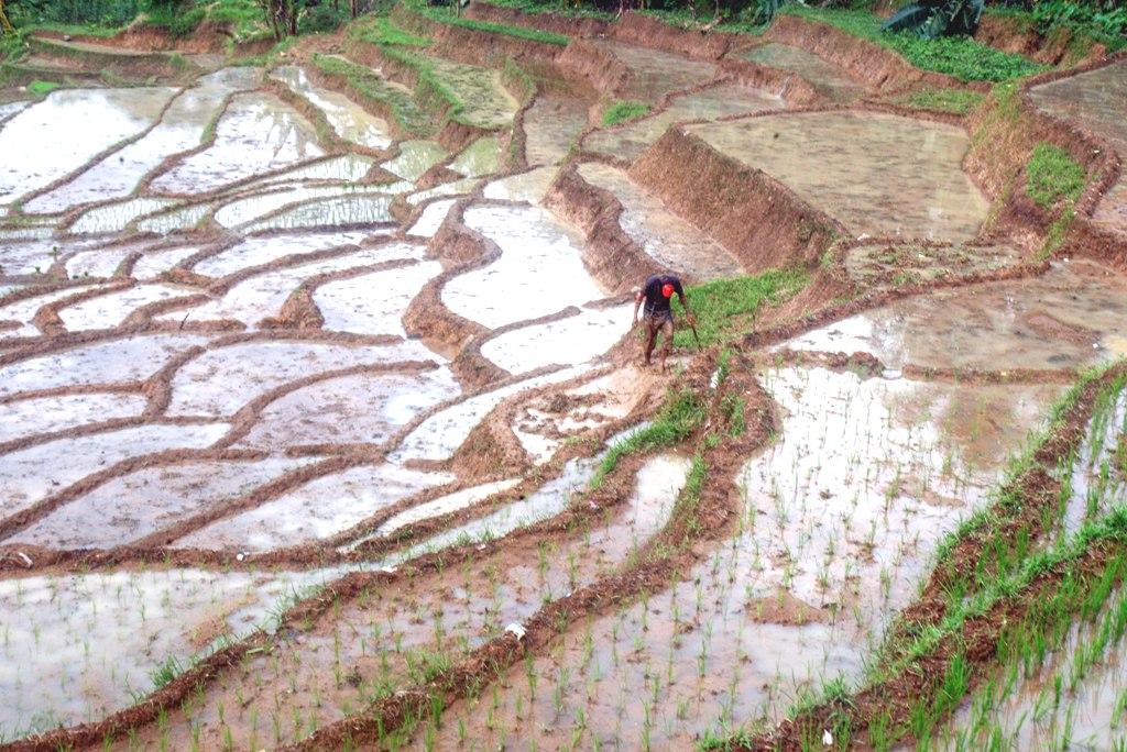 Perluasan Lahan