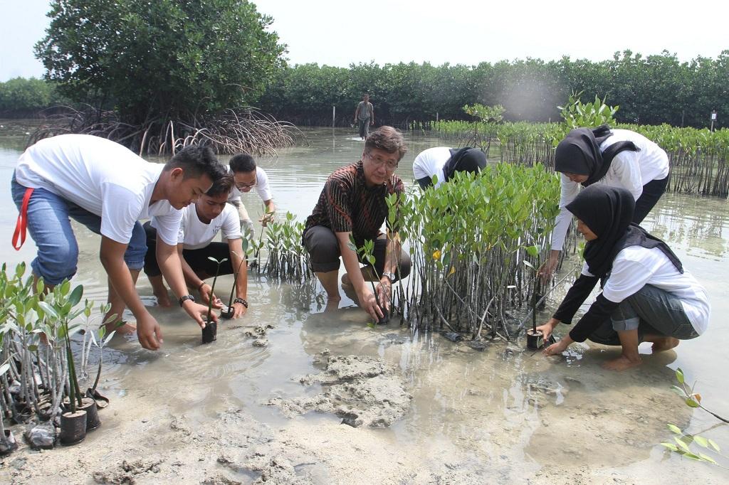 Proyek Terintegrasi