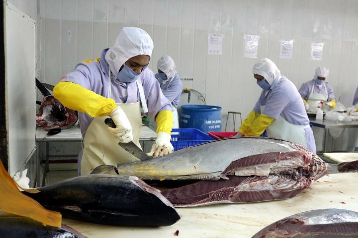Ekspor Tuna