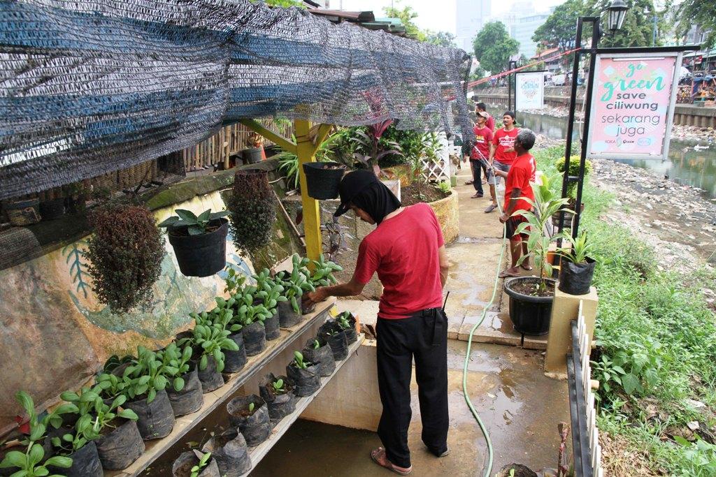 Kawasan Kali Ciliwung 