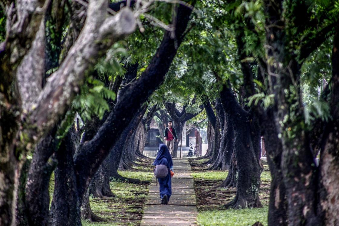 Penataan Lahan