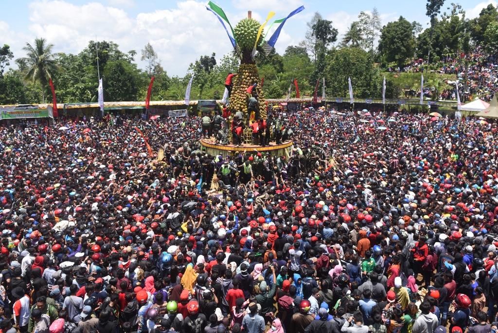 FESTIVAL DURIAN