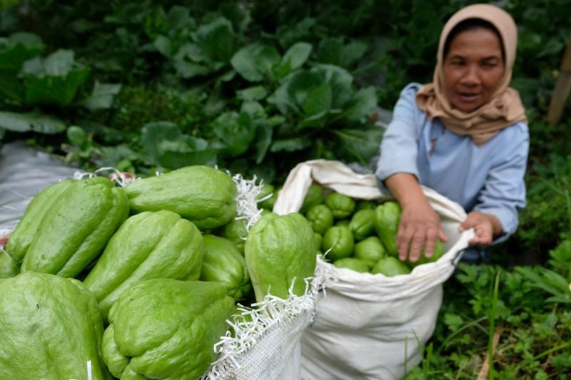 Kenaikan Harga