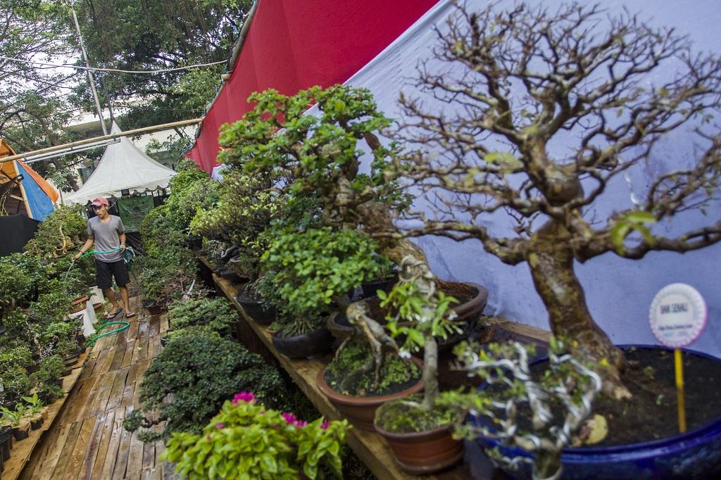 Pameran Flora dan Fauna