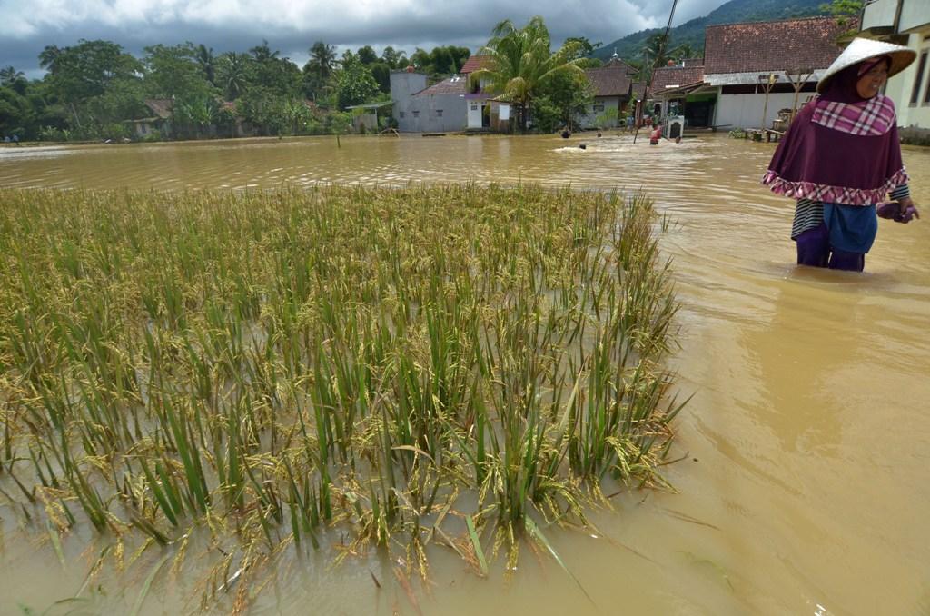 BANJIR DIMANA-MANA