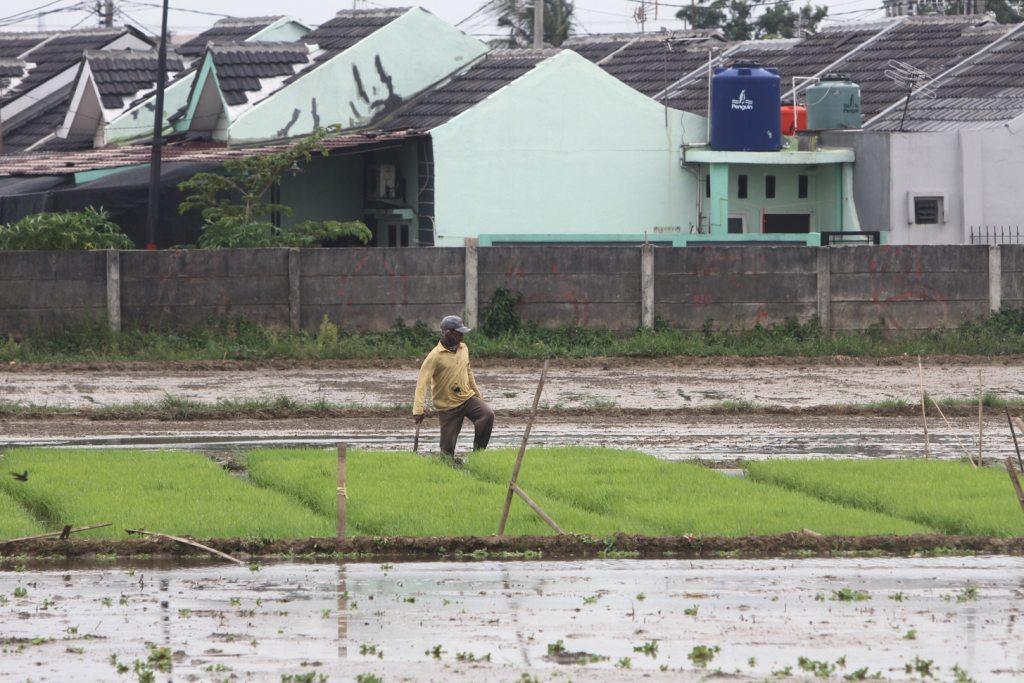 Pola Pengairan Sawah
