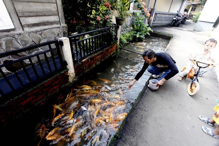 Pemanfaatan "Drainase"