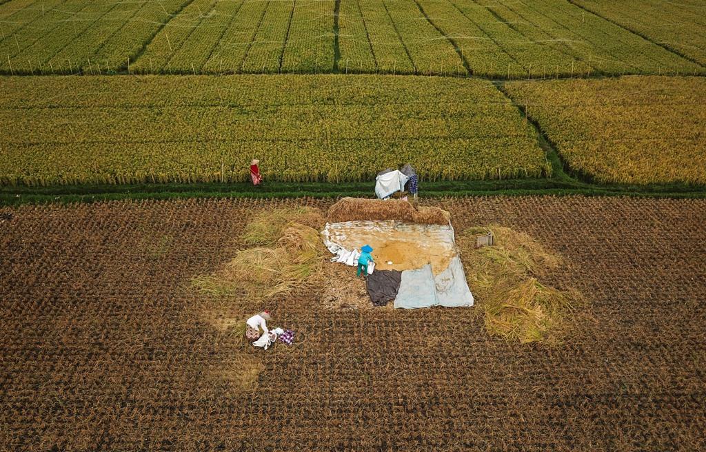 lahan pertanian menyusut