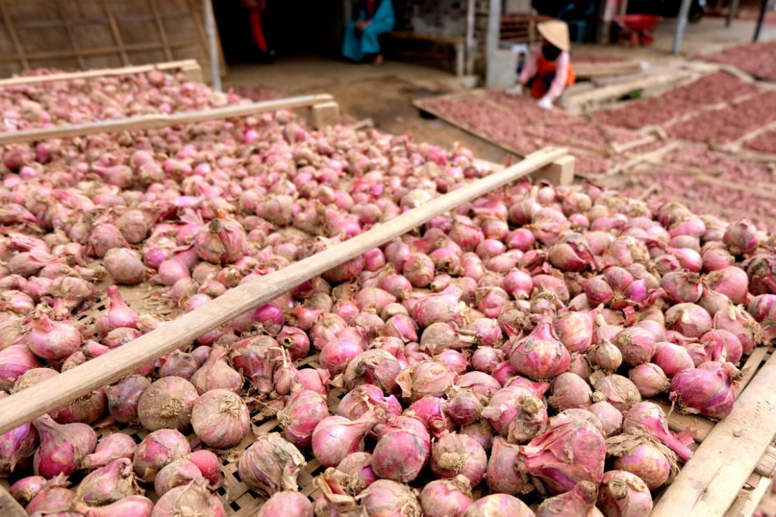 Harga Turun