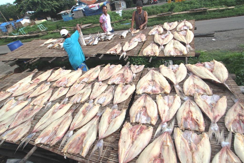 Permintaan Ikan Meningkat