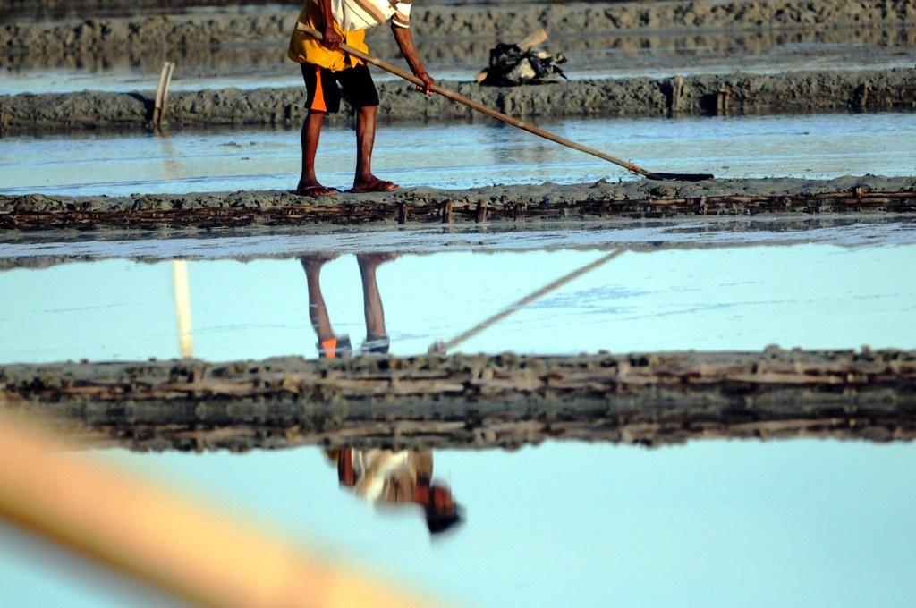 Produksi Garam Turun