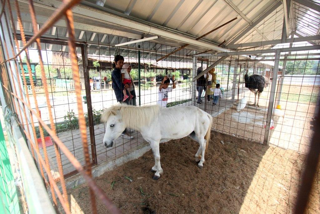 Wisata Edukasi